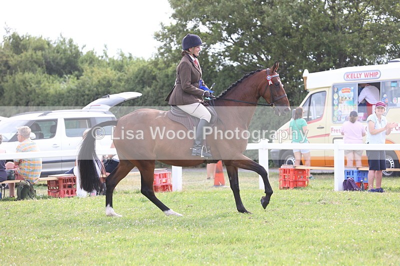 JPP_4335 - Class 25: Working Show Horse