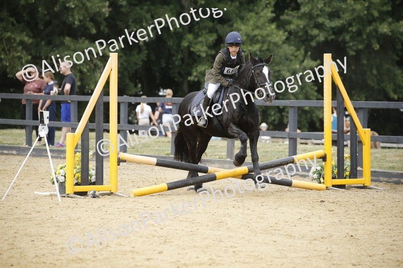 20250622-4690 - 50cm