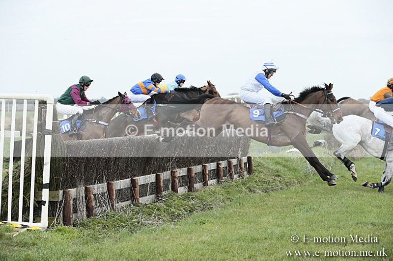 PtP 230319 94 - VWH Hunt Siddington Point-to-Point Racing 23/03/19