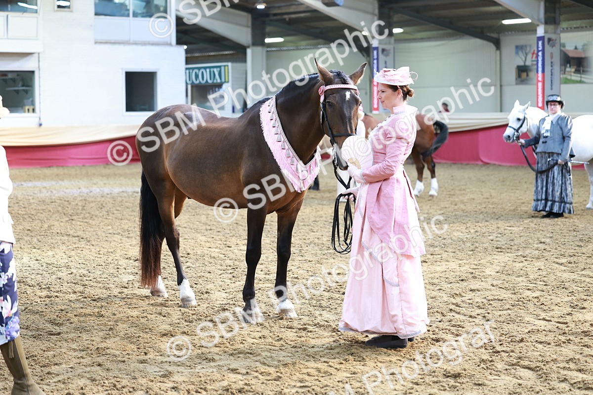 SBM_12077 - Class 103 - IH Costume