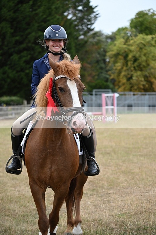 WJ6_0458 - Class 13 Novice Jumping 60cm