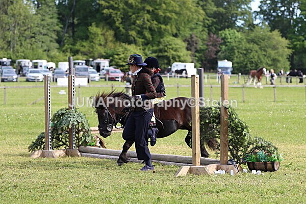 IMG_2140 - Working Hunter