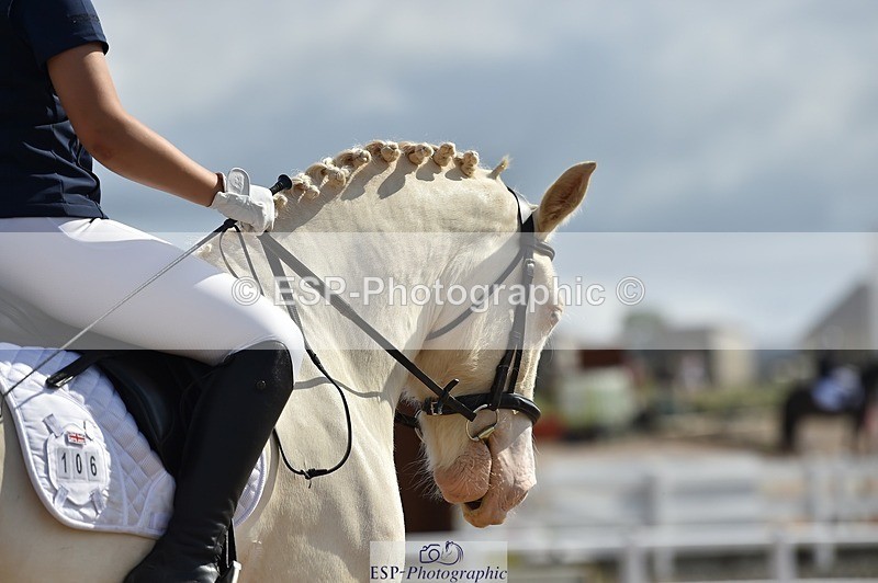 250622-094446-12839 - Quest Cls 19-24 Intro Tests