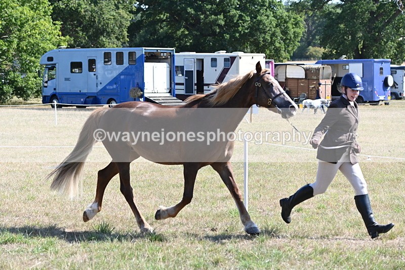 WJ6_4498 - Class 17 Mountain & Moorland