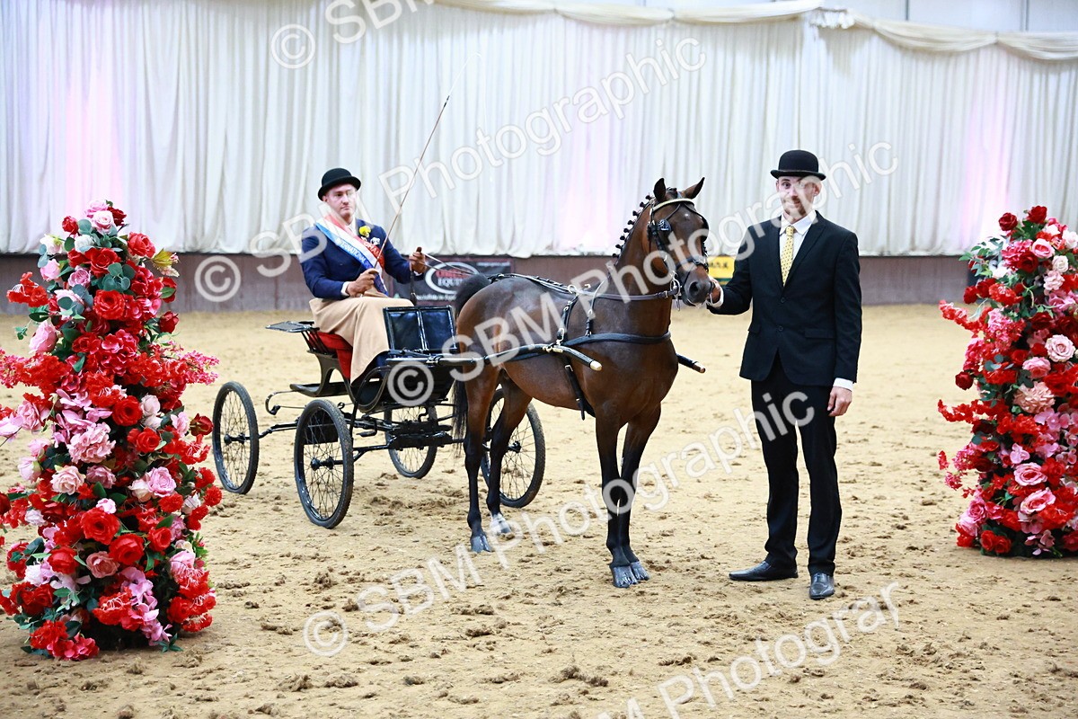 SBM_000694 - Class 9 - HHS Championship Intl Hackney Pony to a Showwagon