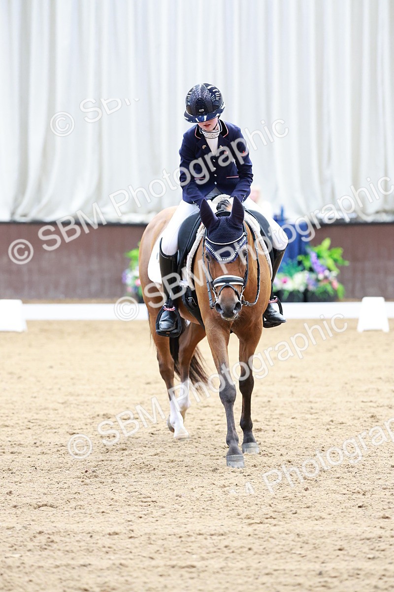 SBM_017288 - Class15 - FEI Pony