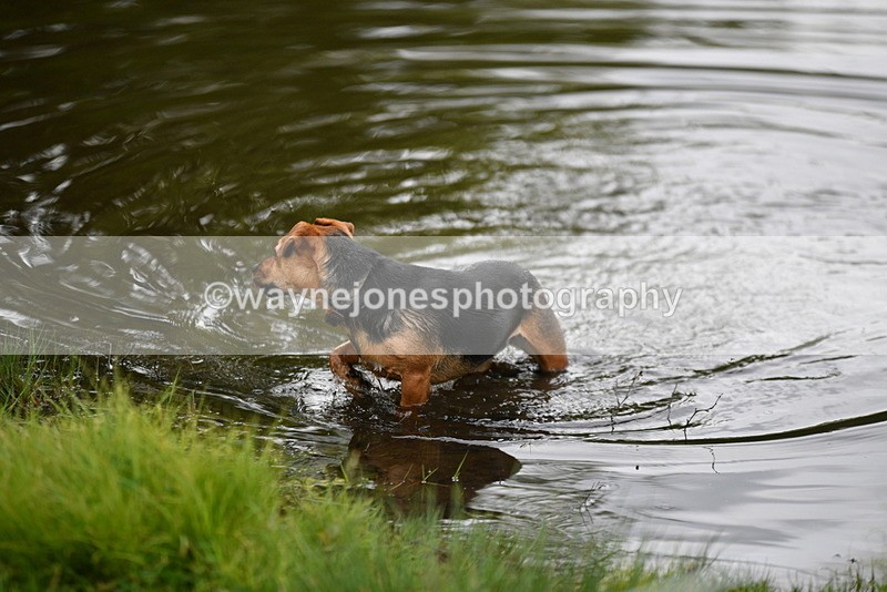 WJ5_5185 - Time 12:04 to 13:05