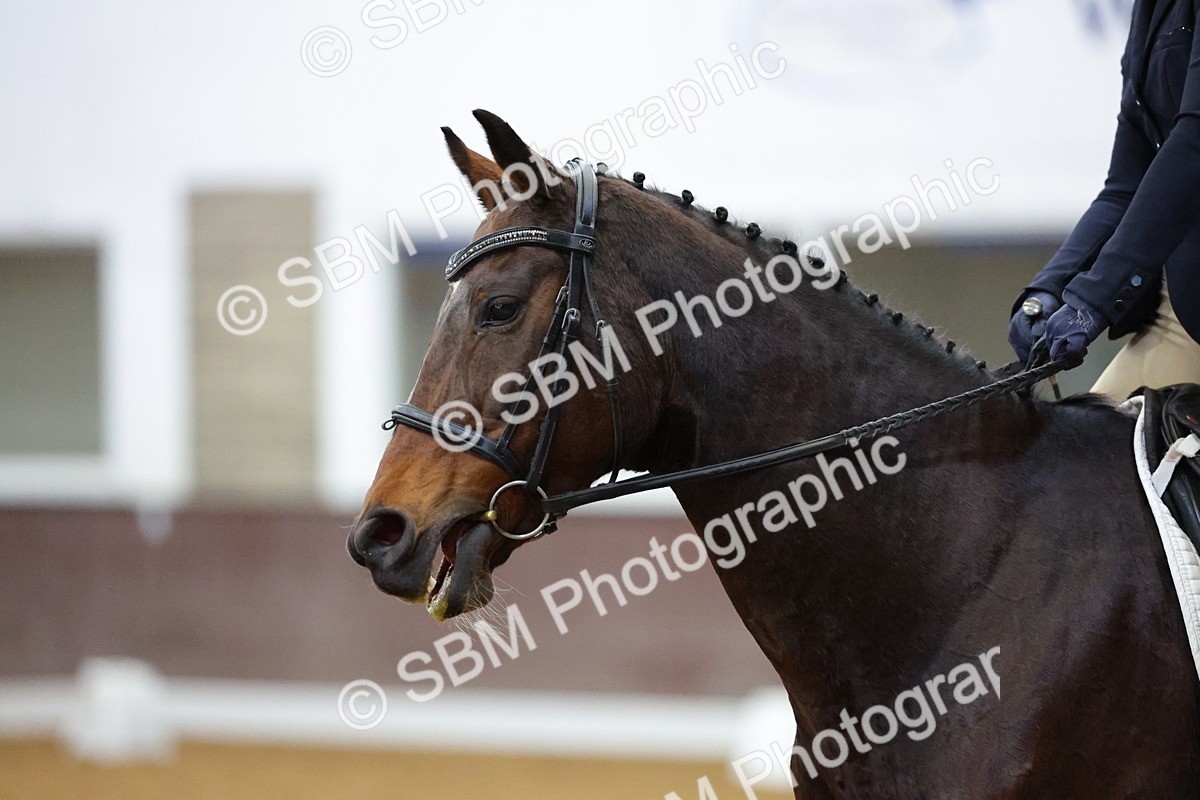 SBM_000941 - Novice