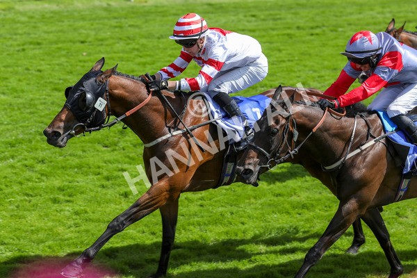 290723-Race 2-Aberama Gold-3829 - Race 2 2.40pm Sky Bet Dash Handicap