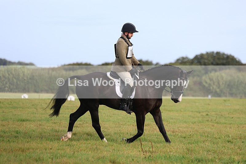 3E7A5427 - Class 1: Trebudannon Open: Dressage