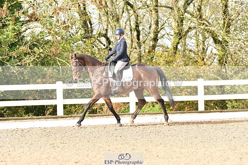 231104A-115301-00303 - Cls 7 Elementary 43