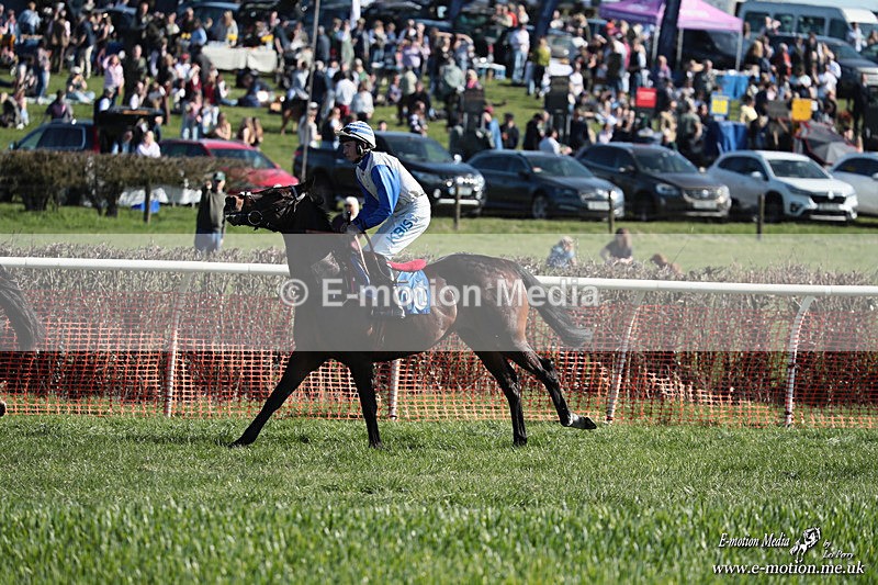 PtP 210326 249 - VWH Cirencester Races 21/03/26