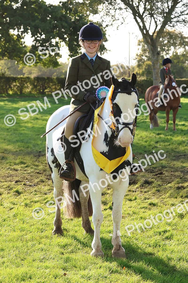 SBM_52670 - S13 - Pony Club Pony