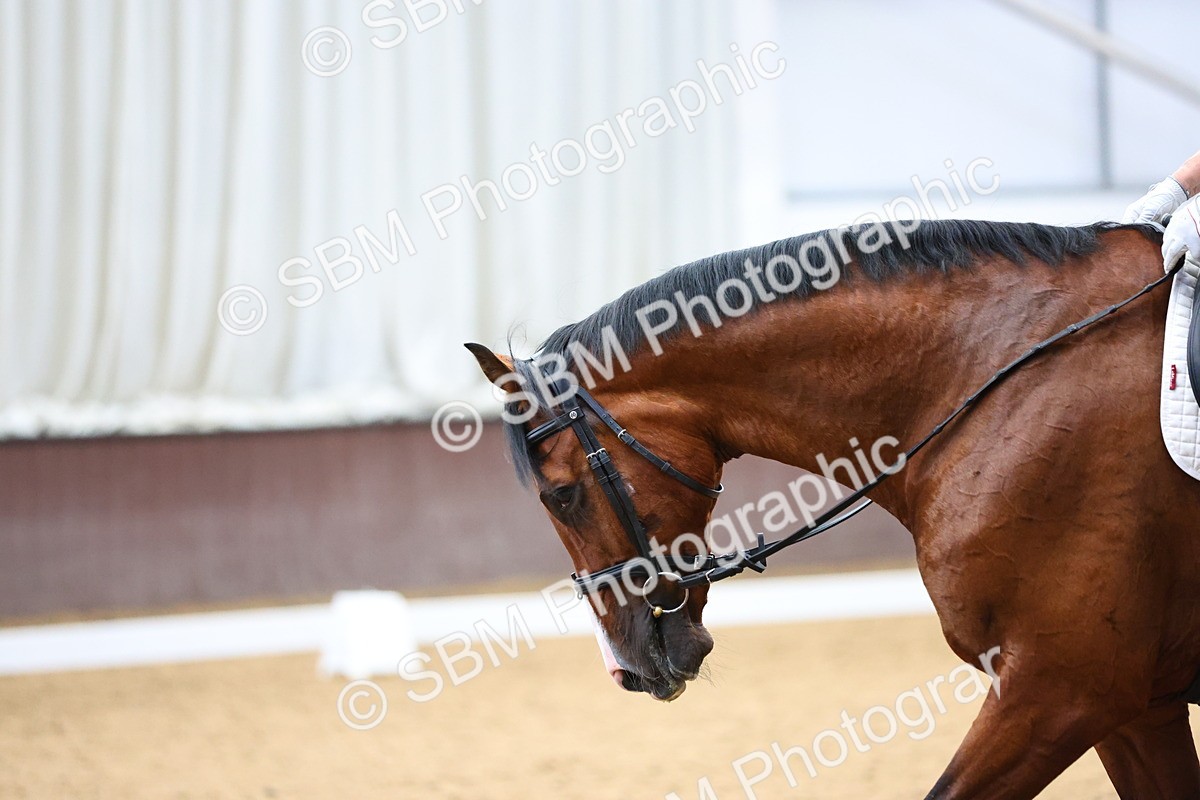 SBM_019303 - Class 6 - Ele FSM