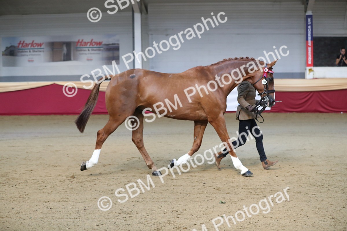 SBM_00548 - class 2a Area IH Veteran