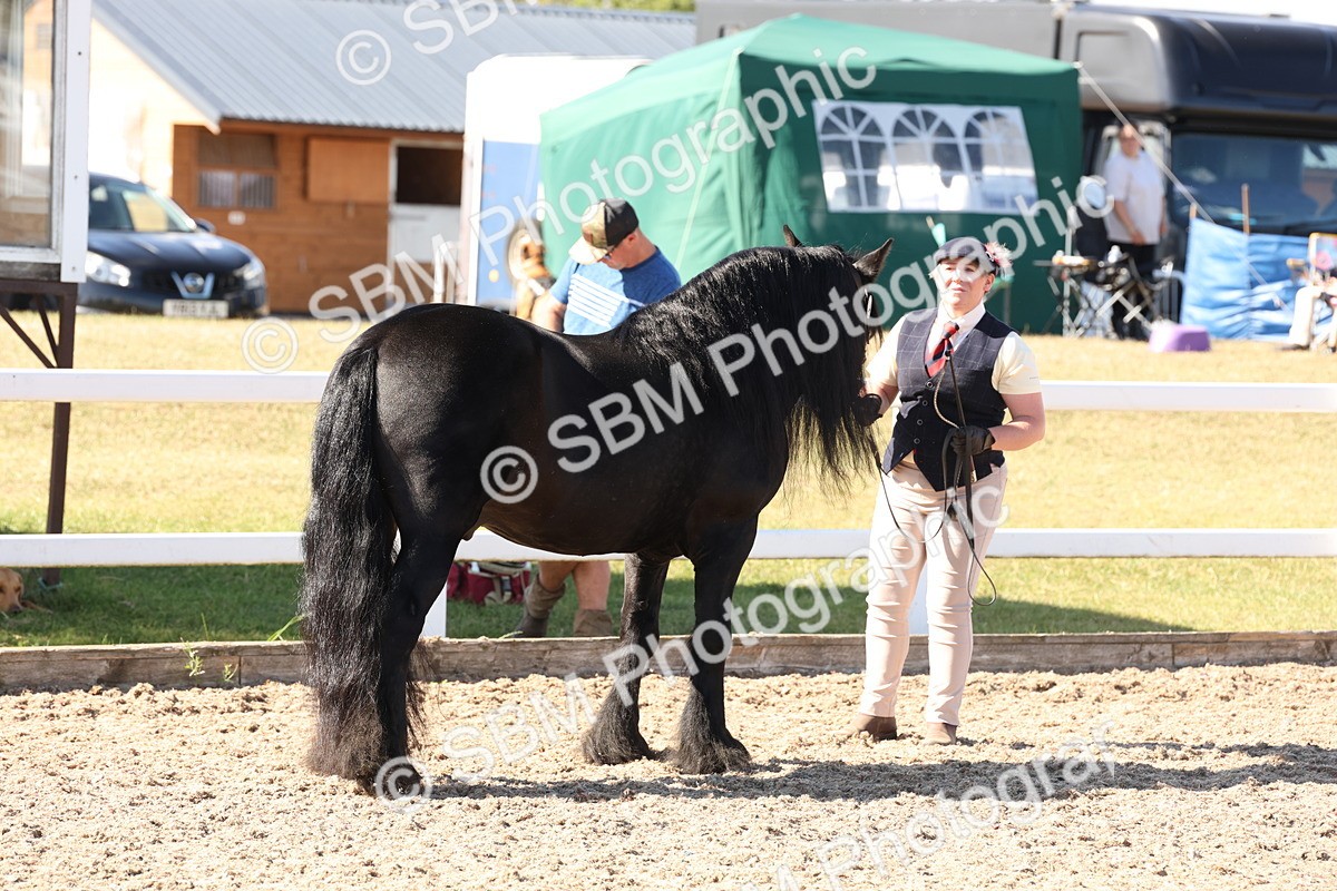 SBM_13895 - Class 205 - IH Show Pony - Show Hunter Pony