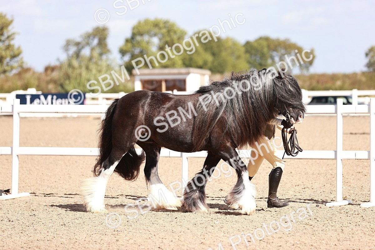SBM_22972 - Class 707 - IH groom Helpers Class