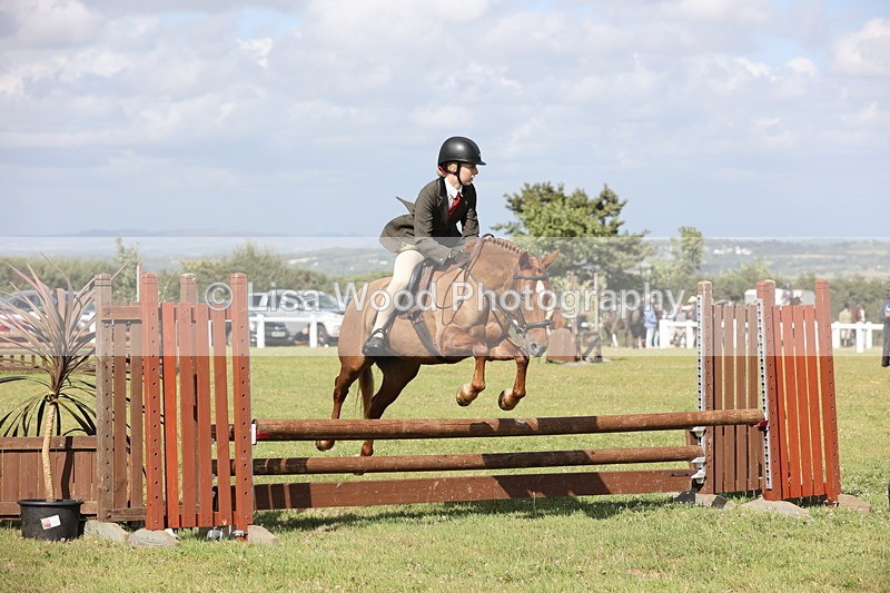 JPP_2723 - Class 20: Working Hunter 70cm