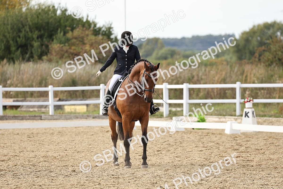 SBM_016304 - Class 10 - Advanced Medium 5