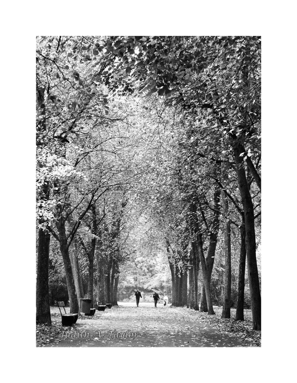 Geneva parc Bertrand