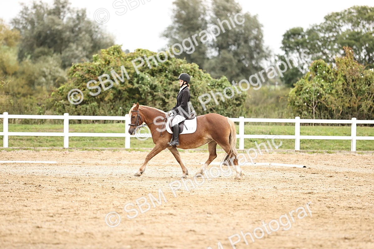 SBM_002735 - Prelim 1