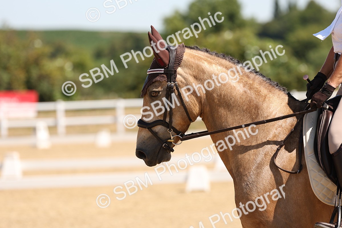 SBM_001213 - Intro 2