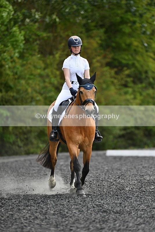 WJ5_1039 - Time 13:45 to 14:20