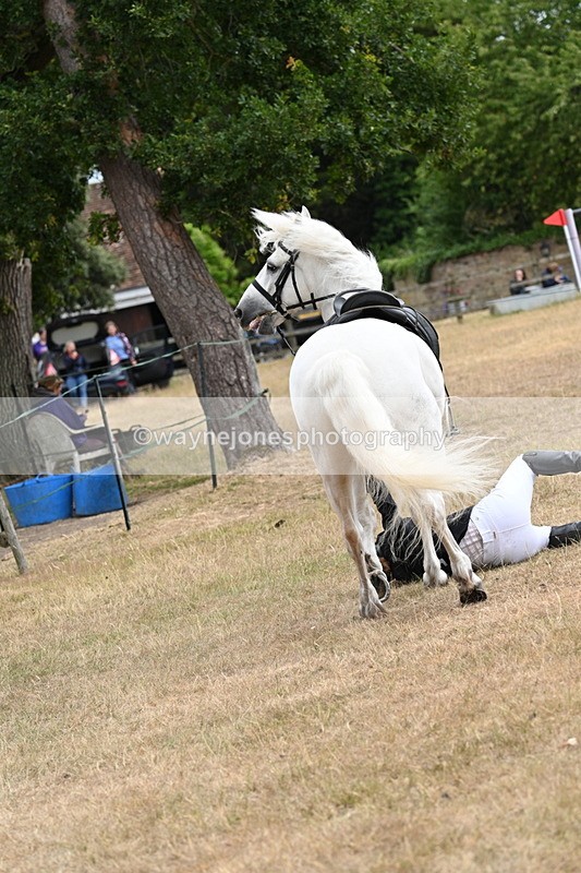 WJ7_0407 - Class 6 Ridden Mountain and Moorland