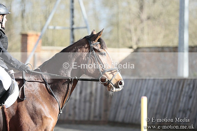 BVRC SJ 170319 11 - Bourne Valley Riding Club Showjumping 17/03/19