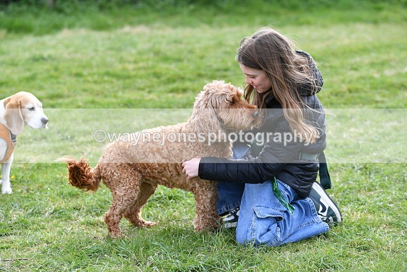 WJ5_0189 - Class 5 Best Veteran / 7 years & over