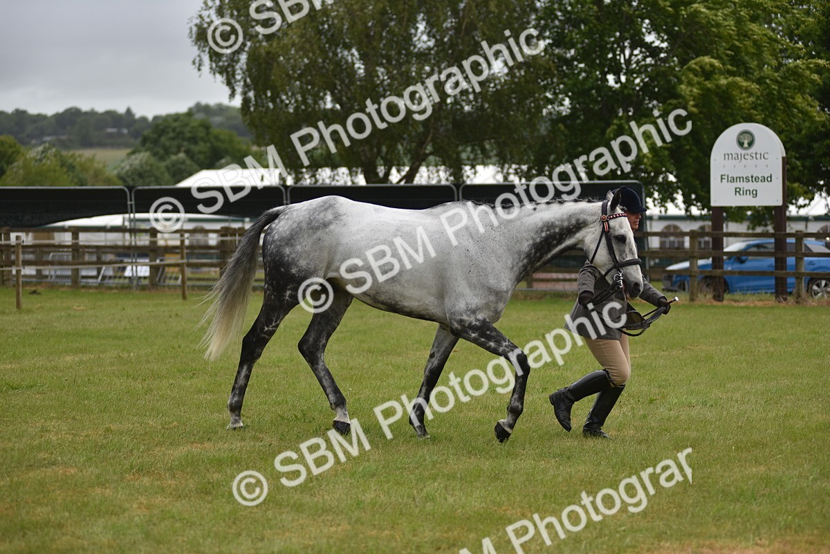 SBM_10662 - Class 109 - Retraining of Racehorses in Hand