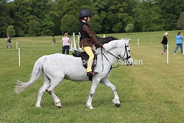 IMG_2222 - Working Hunter