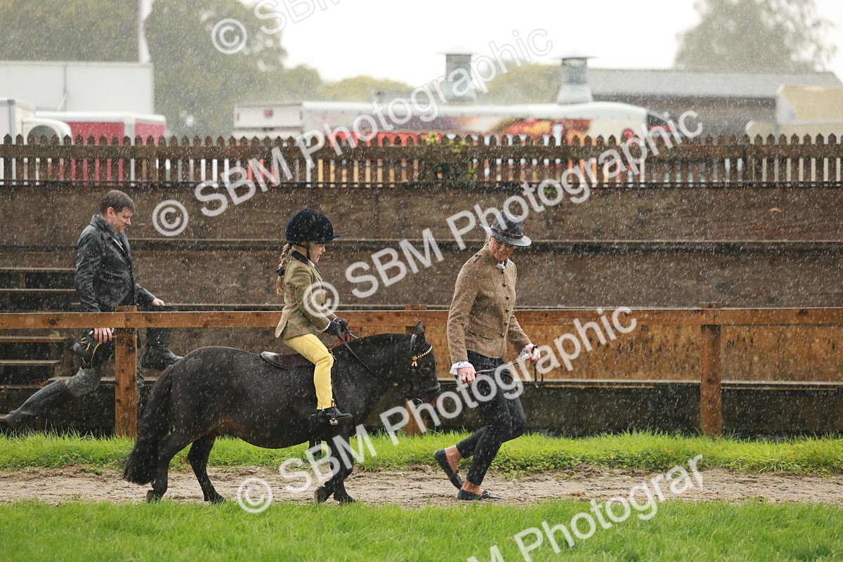 SBM_33660 - S9 - Lead Rein Equitation