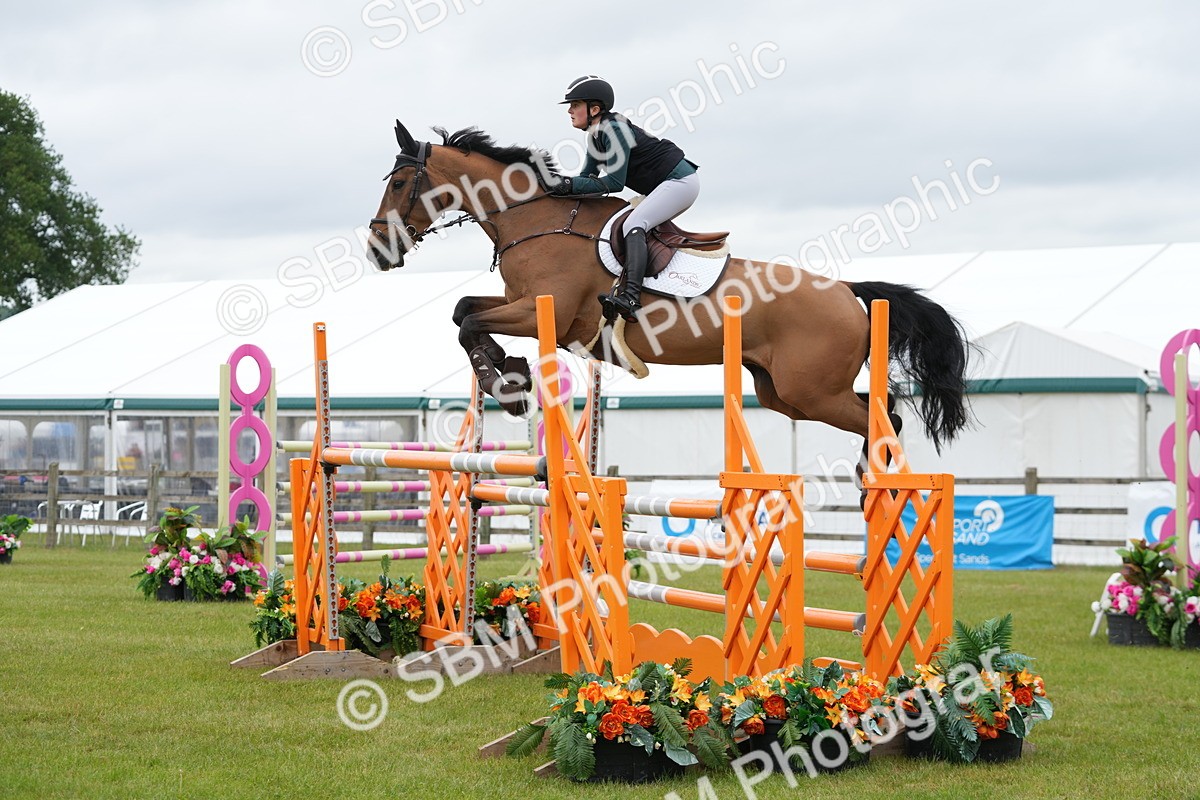 SBM_03483 - Class 201 - British Horse Feeds Speedi Beet Horse of the Year Show Grade  C