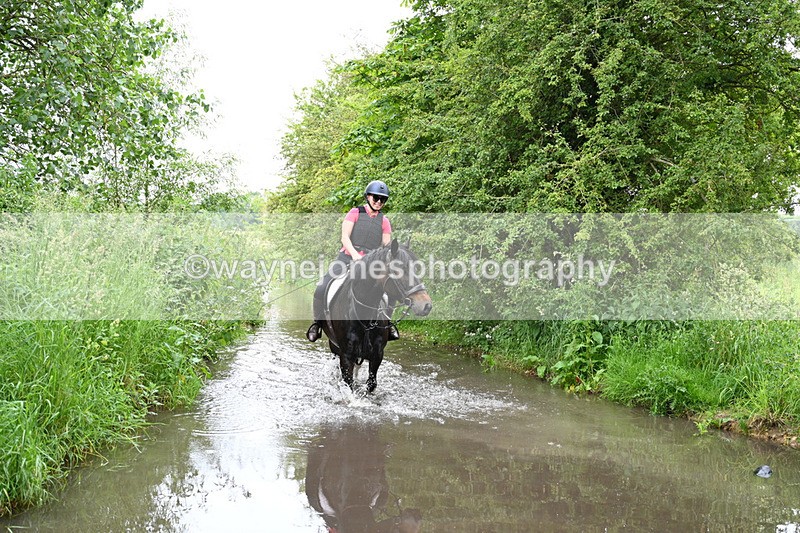 WJ7_2116 - Camera 2 Water Crossing
