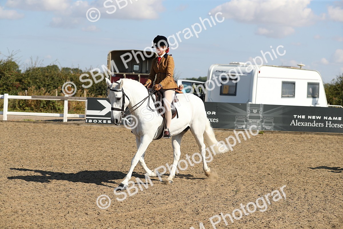 SBM_02308 - Class 43 Ridden Competition Horse/Pony