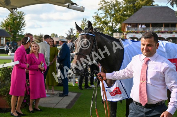 240824-Race 5-Elmonjed-1601 - Race 5 4.10pm Sky Bet Constantine Handicap