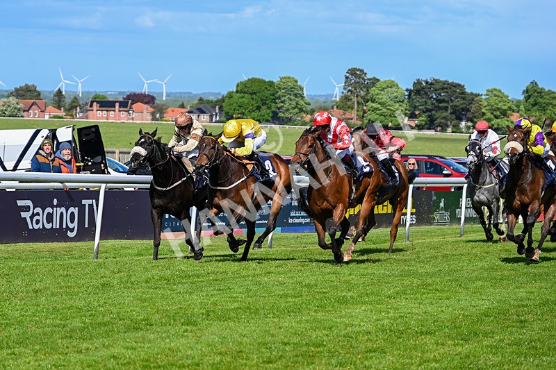 120526-Race 4-Dandy Dinmont-8268 - Race 4 4.00pm Annie Oxtoby Memorial Handicap