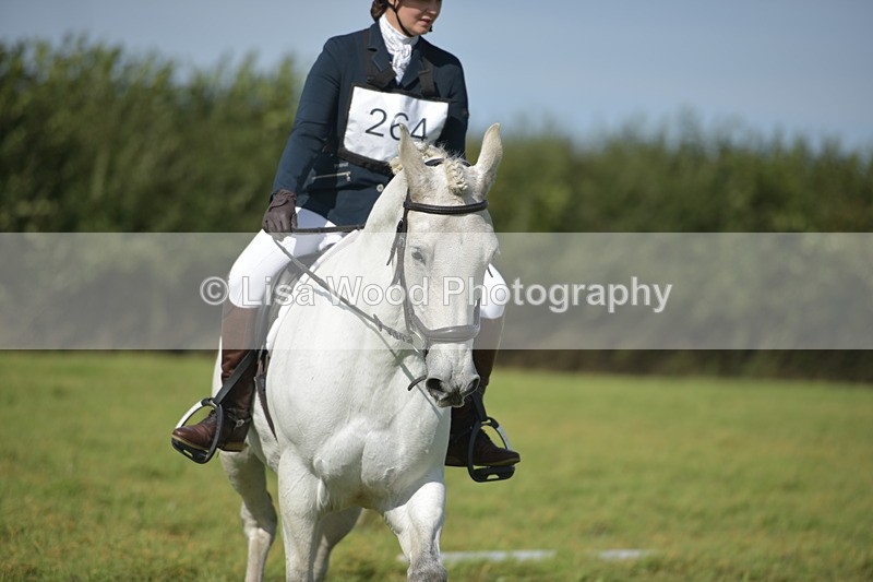 RAY_8098 - Class 2B: Trekenning Open: Dressage