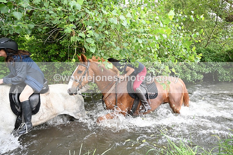 WJ7_2459 - Camera 2 Water Crossing