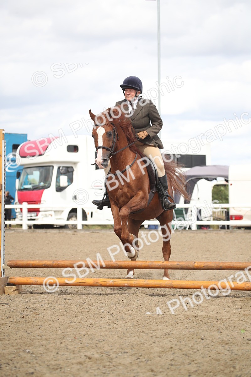 SBM_15275 - Class 506b - Working Veteran - 50cm (20+)