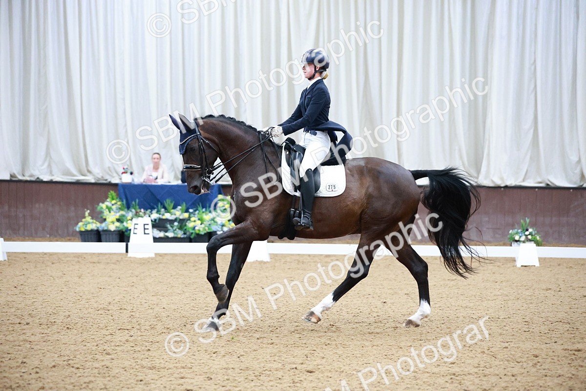 SBM_010158 - Class 13 - FEI PSG - 13.14-14.20