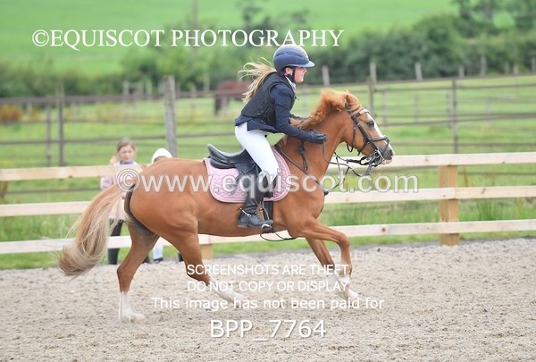 BPP_7764 - CLASS 3 Pony British Novice / 0.80m Open