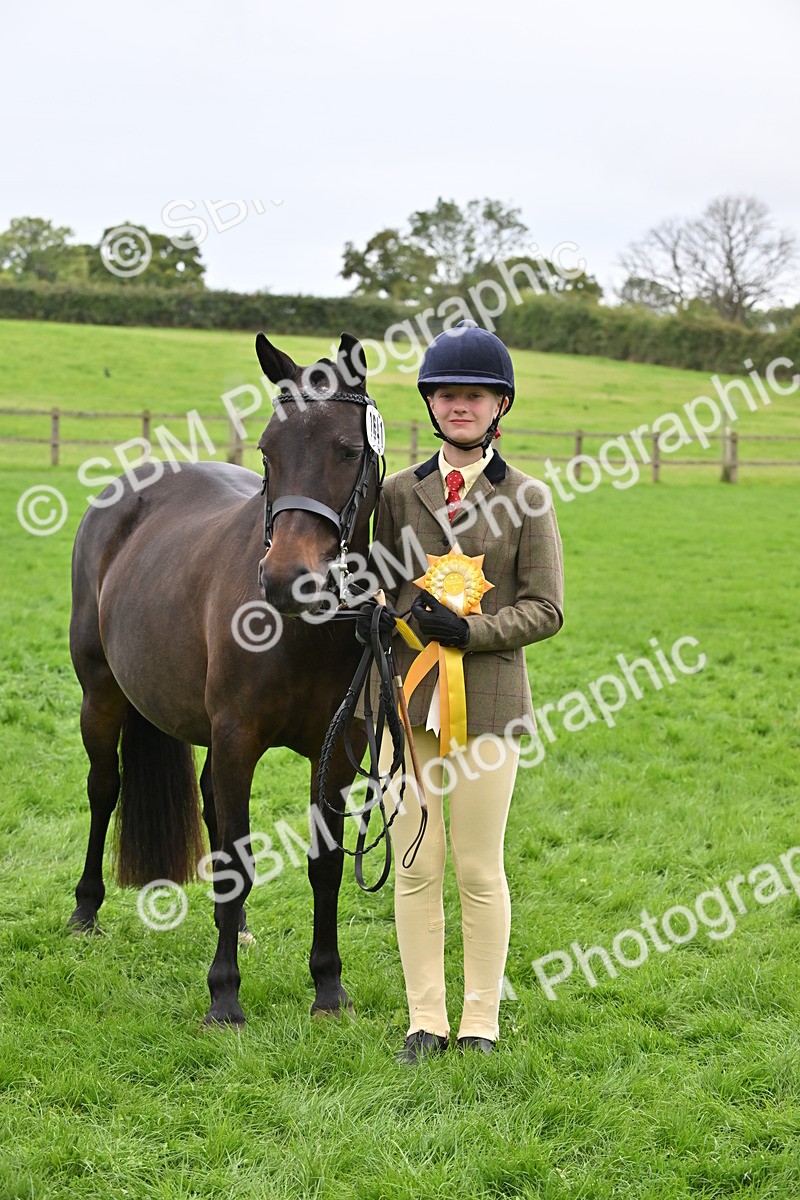 SBM_64957 - S50 - Show Pony & Show Hunter Pony In Hand