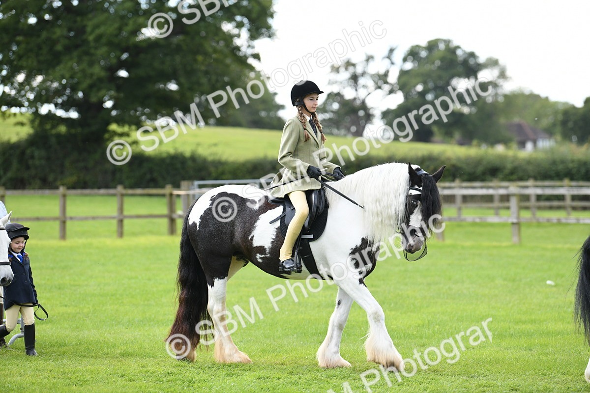 SBM_46679 - S12 - Family Horse & Pony