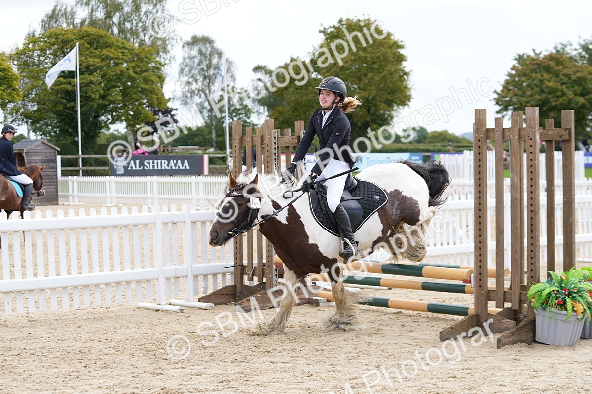 SBM_40721 - Supreme Championship Pony 50-55cm