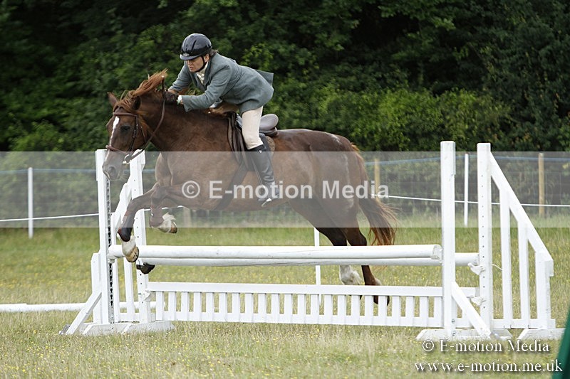 BVR160717-907 - Ring 3 BVRC Show 16/07/17