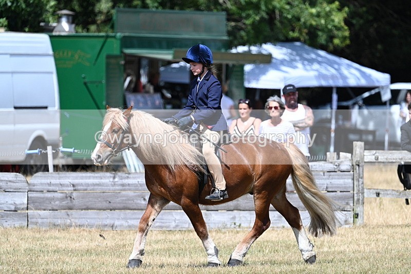 WJ7_3396 - Class 8 Ridden Veterans