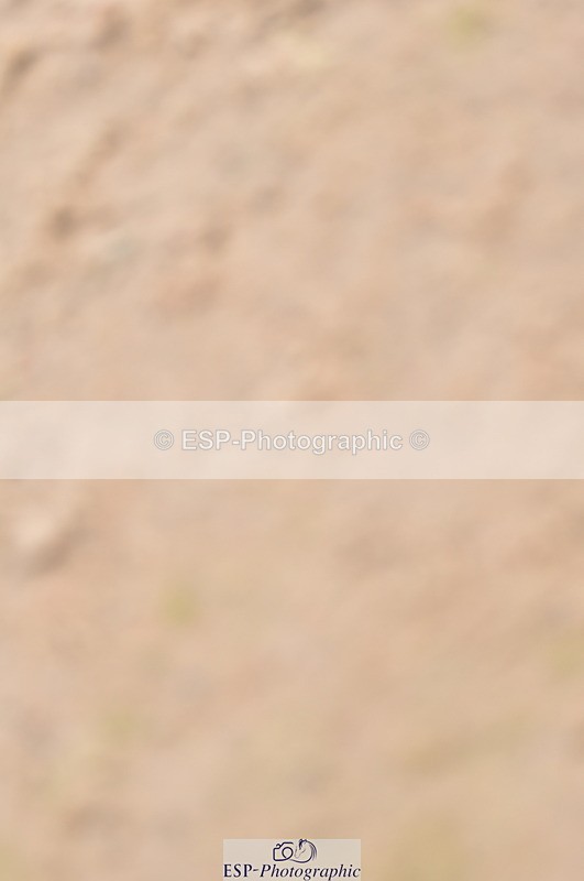 240403A-155110-01044 - Cls 5 Foxhunter and 1.20m Open