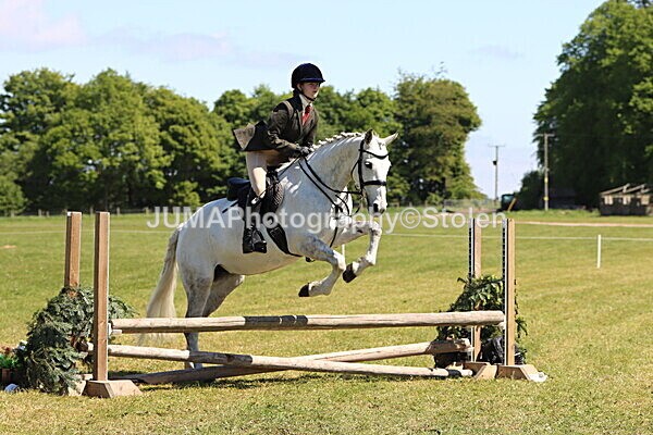IMG_3950 - Working Hunter
